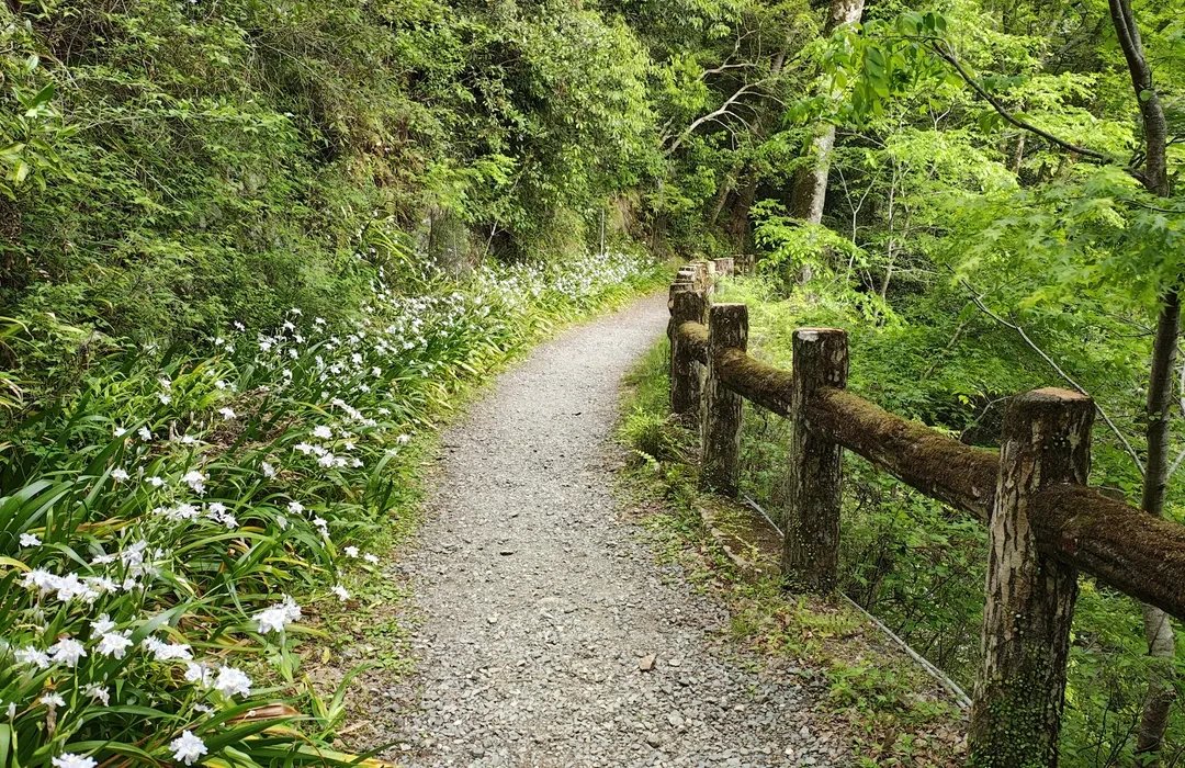 🌳 모토이바라키가와 료쿠치 공원 (타마쿠시) 이미지 6